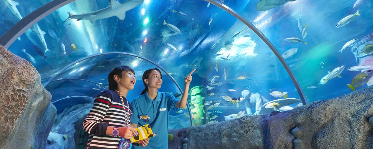 SEA LIFE Nagoya - Main Image