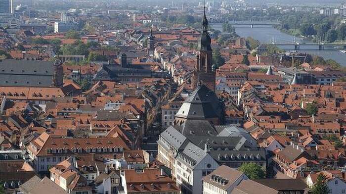 Heidelberg Old Town Private Walking Tour including Castle Visit Day Tours - Main Image