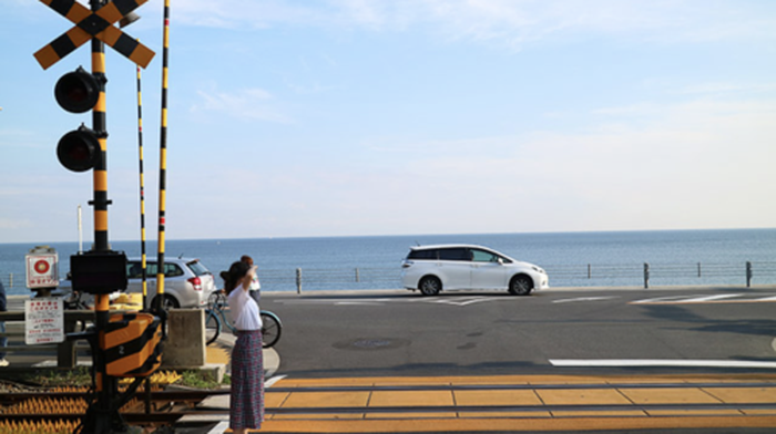 Depart from Tokyo | Tokyo Kamakura Hasedera Temple Day Tour - 24 - Main Image