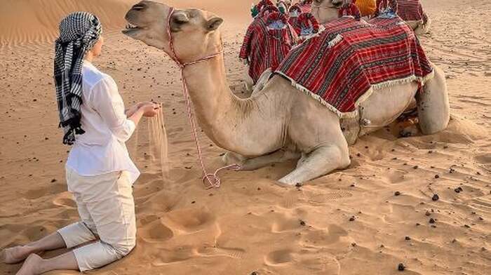 Dubai Morning Safari Tour, Camel, Falcon & Sand Boarding Day Tours - Main Image