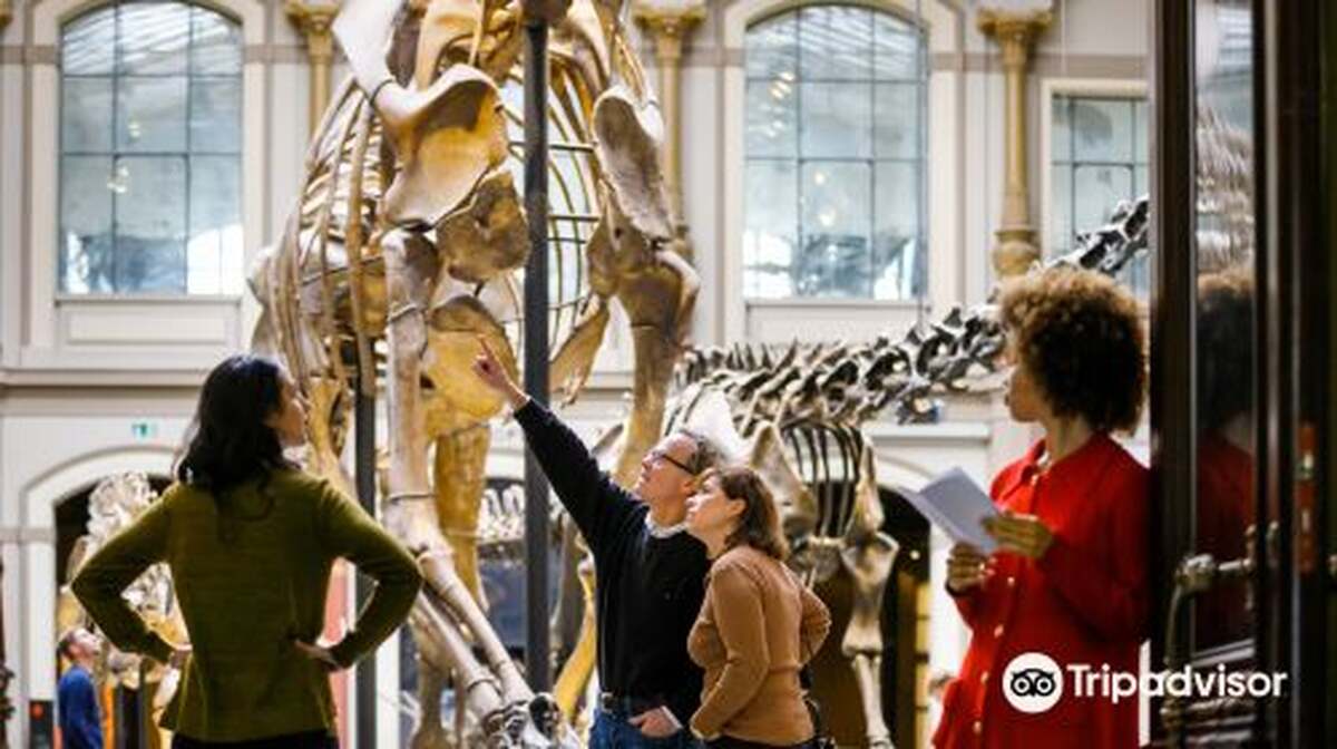 Museum für Naturkunde - Main Image