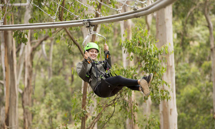 Super Circuit High Ropes Course - Main Image