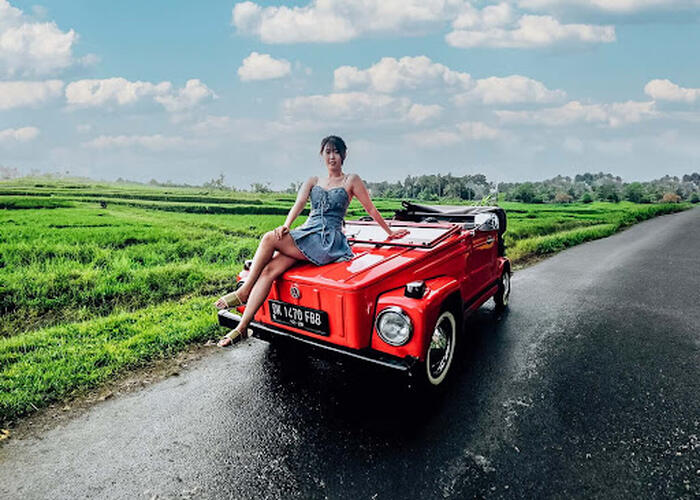 a3664469-6feb-4cd0-aabd-6a3aa834f31c_alt