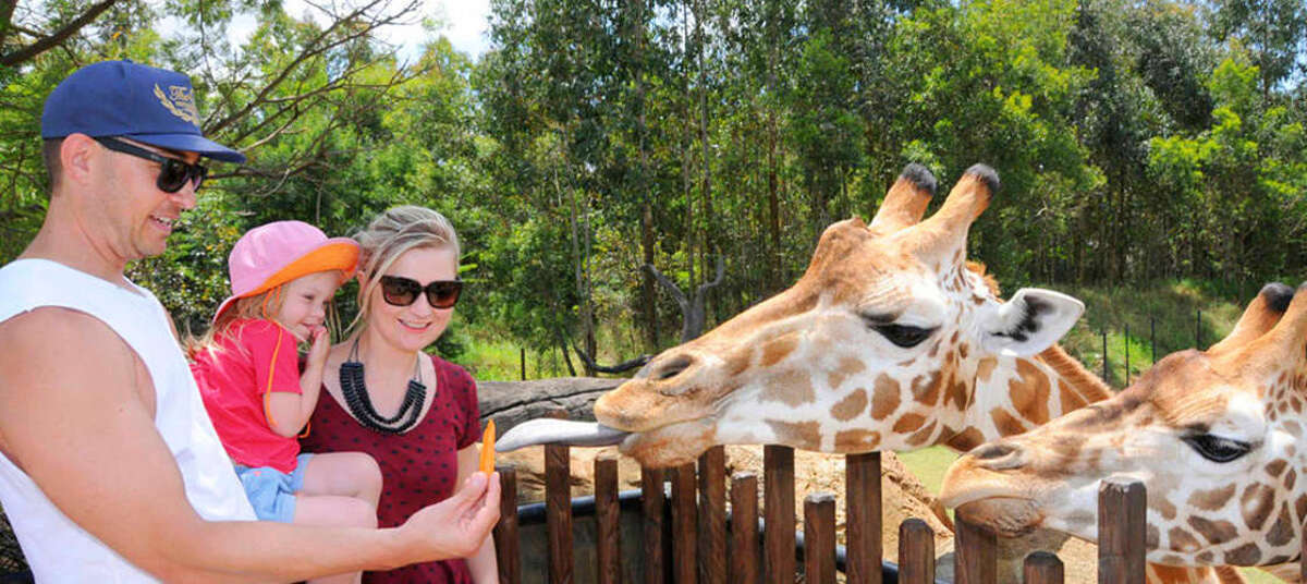 Australia Zoo Entry with Sunshine Coast Hotel Transfers - Main Image