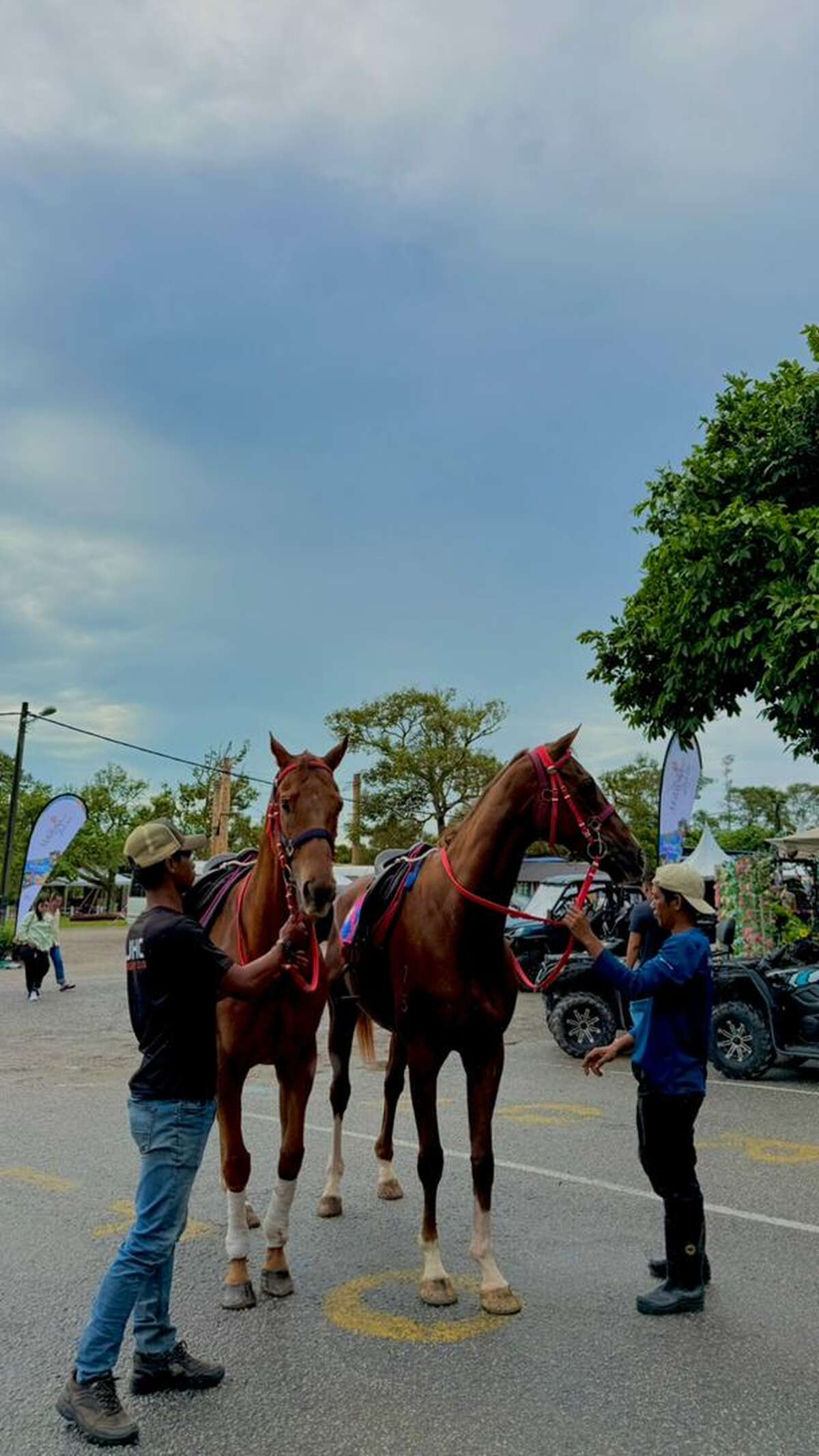 Desaru Fruit Farm Horse Riding Experience - Main Image