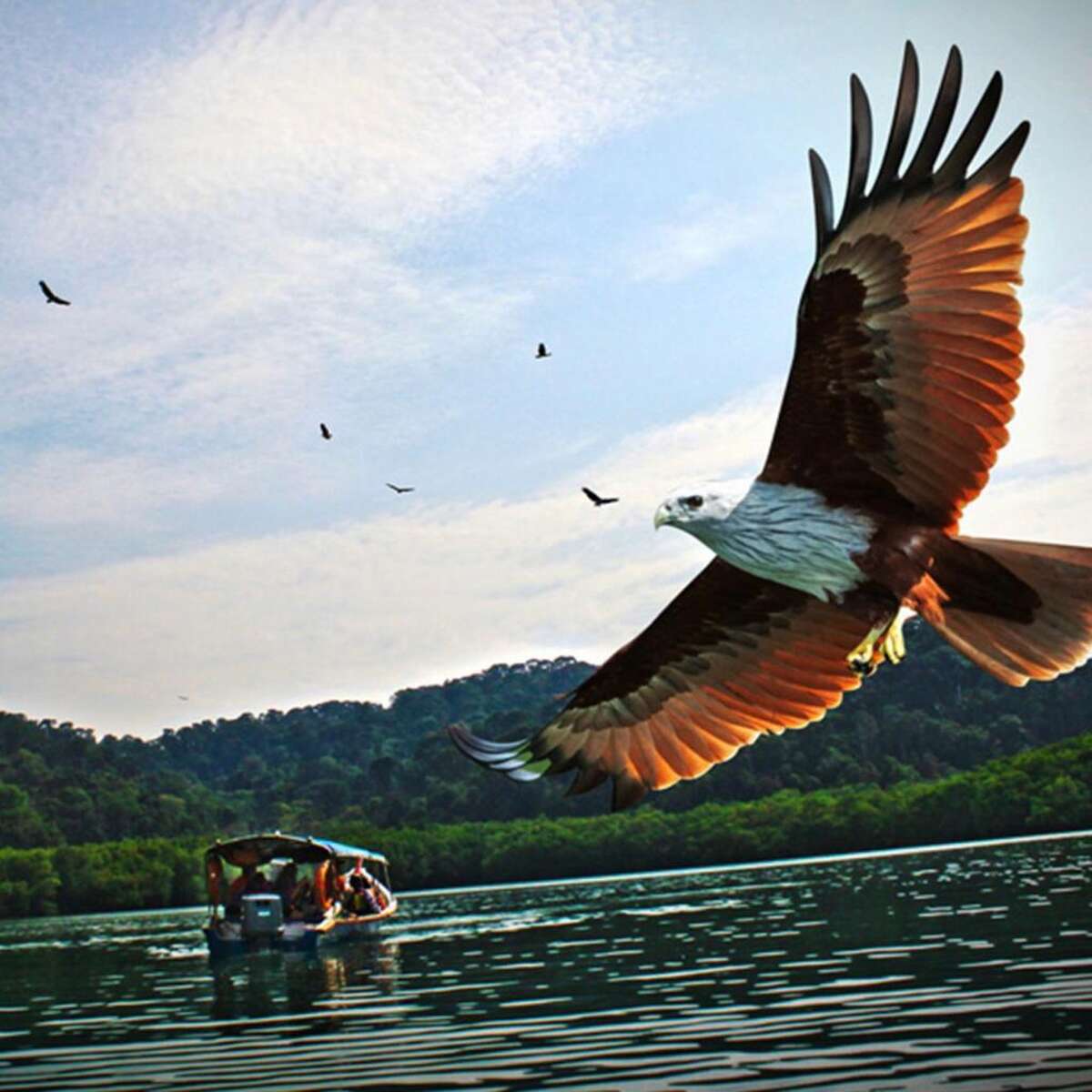 Langkawi Island Hopping - Main Image