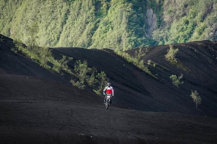 dfdc40d4-de1d-42aa-9ee8-0bdfe57c9997_alt