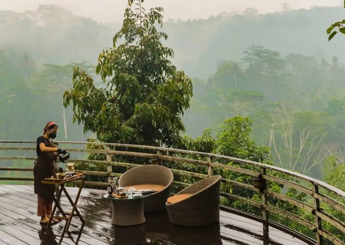 e239b6d6-a8b2-4d15-80e4-f6a02aa4bfa5_alt