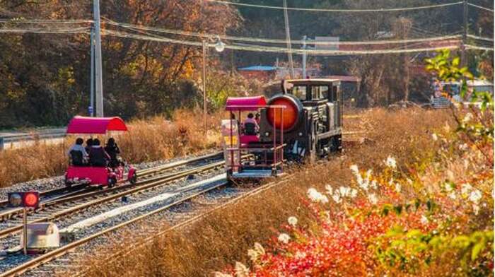 Gyeonggi Province|1-day tour to Gangchon Rail Park + Alpaca World Day Tours - Main Image