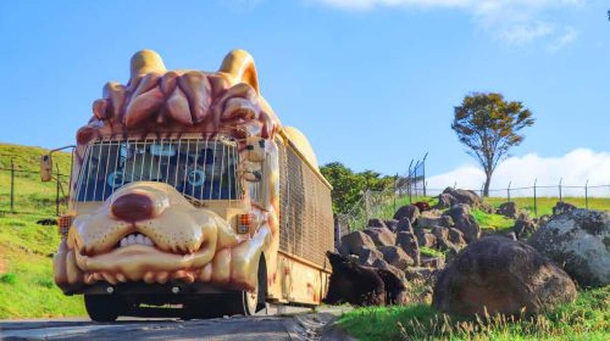one-day tour of Kyushu Zoo in Oita,Ghibli Town & Animal Interaction Tour Day Tours - Main Image