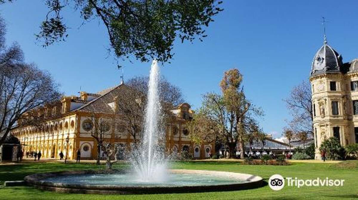 Royal Andalusian School of Equestrian Art - Main Image