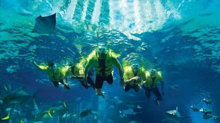 Atlantis Ultimate Snorkel Experience - Main Image