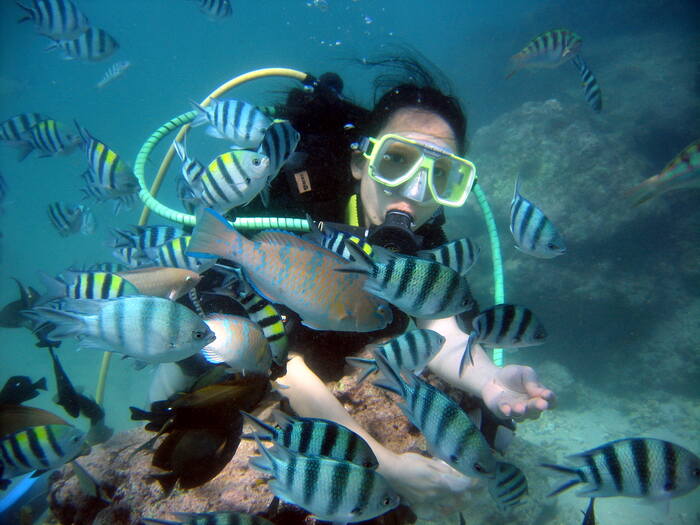 4b1d77d7-8e54-40cc-80dc-cc5a02cf5b8e_alt