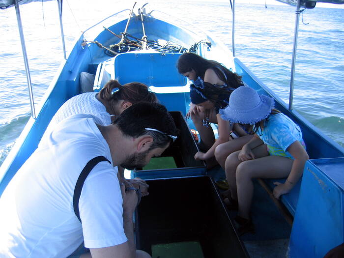 dd2a3172-ffa3-40b8-b876-eab596537e56_alt