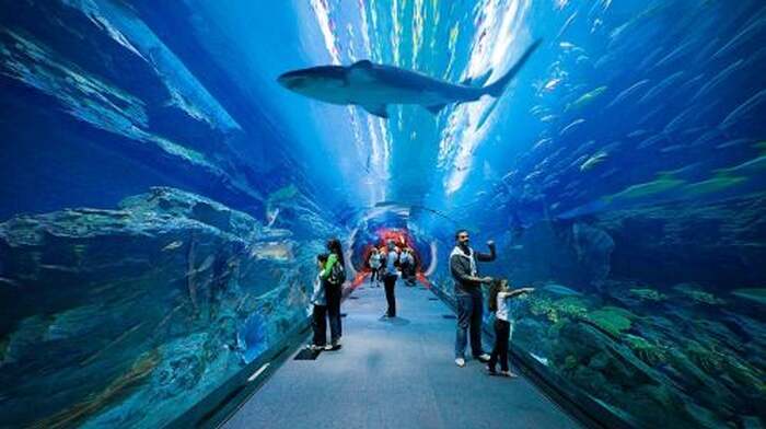Dubai Burj Khalifa visit, Aquarium & Marina Dhow Dinner Cruise with Private Transfers Day Tours - Main Image