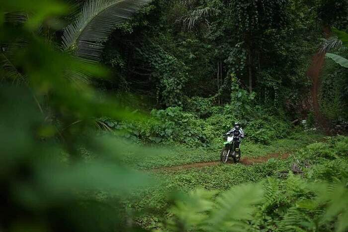 766d7693-3dd3-4645-a312-f659b420e7b3_alt