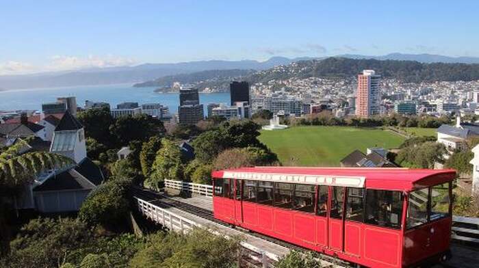 Discover Wellington 3 hour City Tour Day Tours - Main Image
