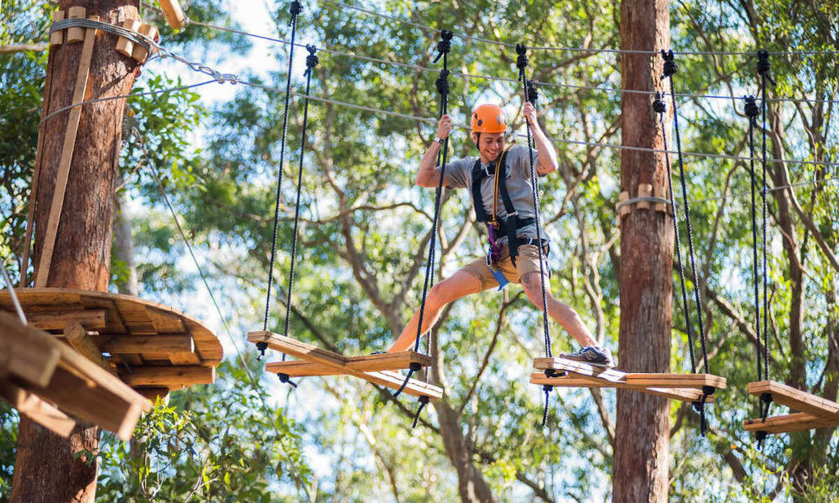 TreeTop Adventure Park Central Coast - 2.5 Hours - Main Image