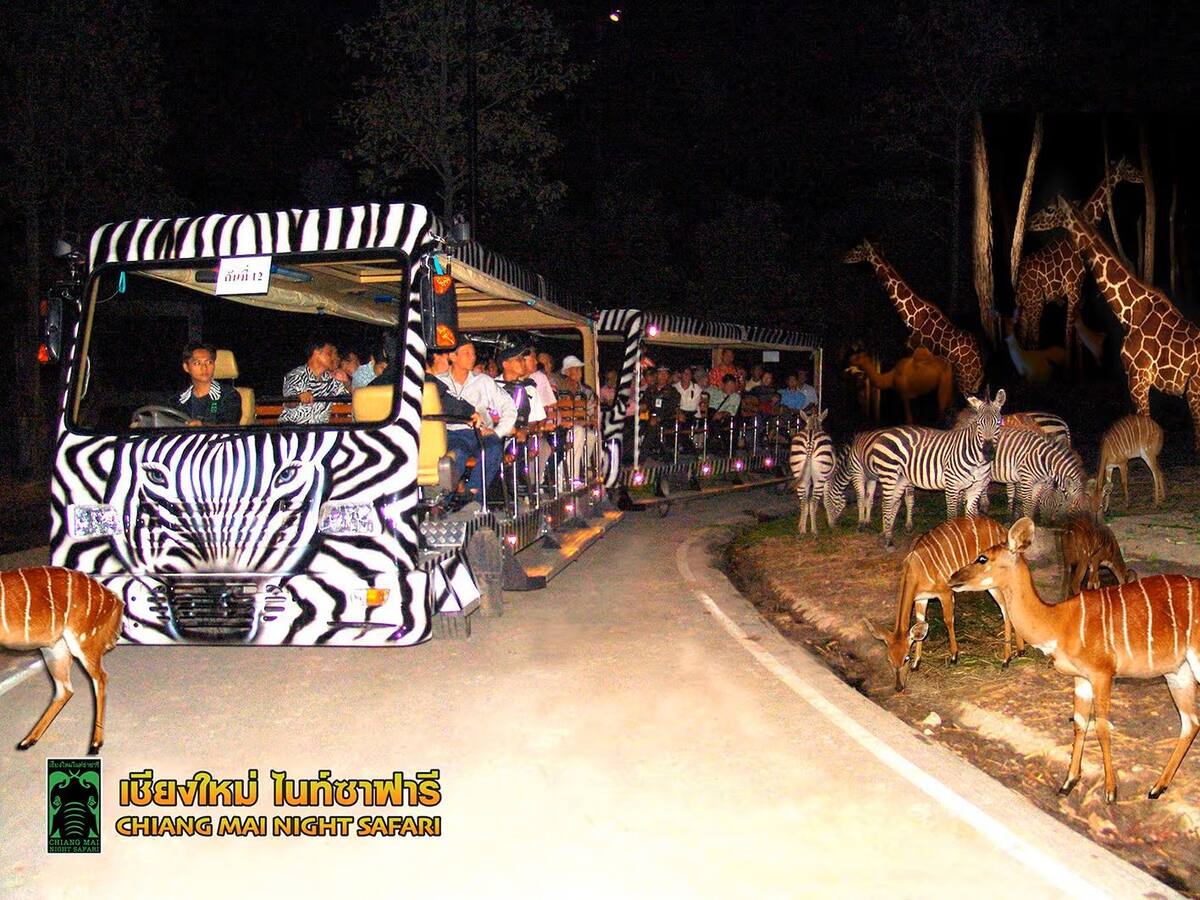 Chiang Mai Night Safari (Thai Residents) - Main Image