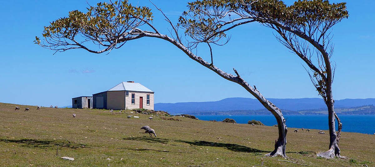 Maria Island National Park Tour from Hobart - Main Image
