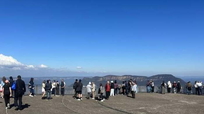 Blue Mountains Tour w/Lunch: Scenic World, Zoo & Koala Photo Day Tours - Main Image