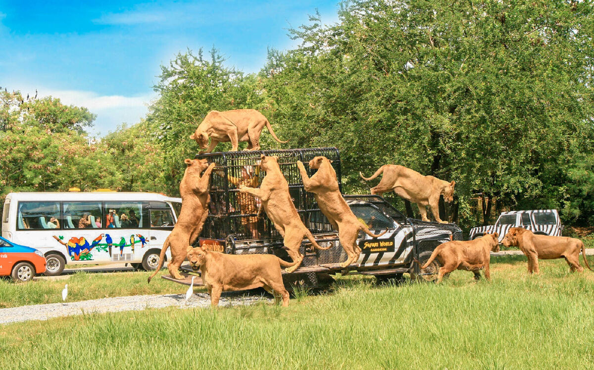 Safari World Bangkok Ticket - Main Image