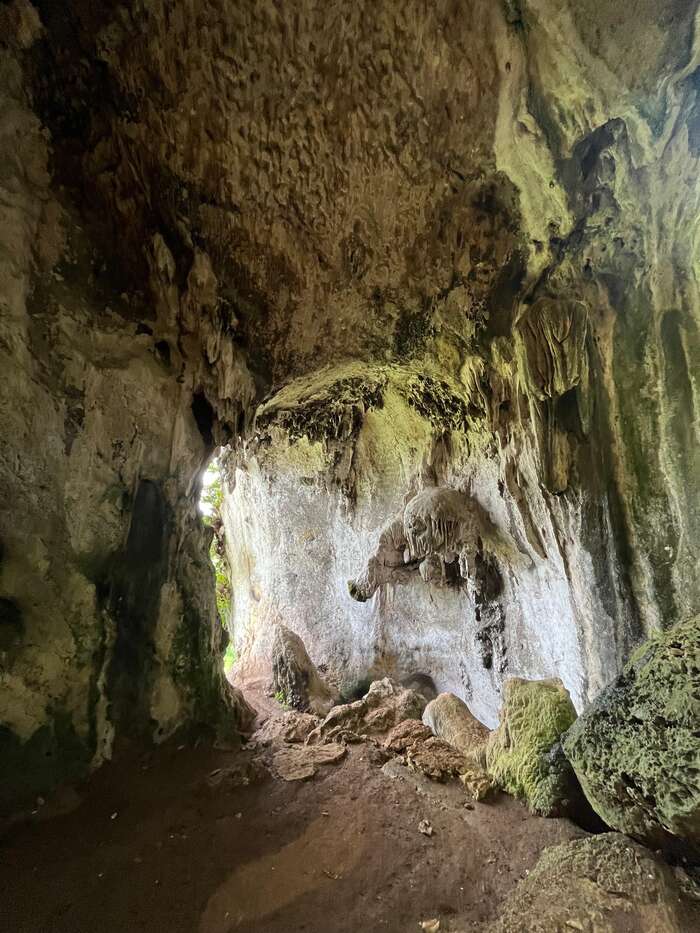 06b407a7-599c-4e65-b6df-fc45dcaedfa7_alt