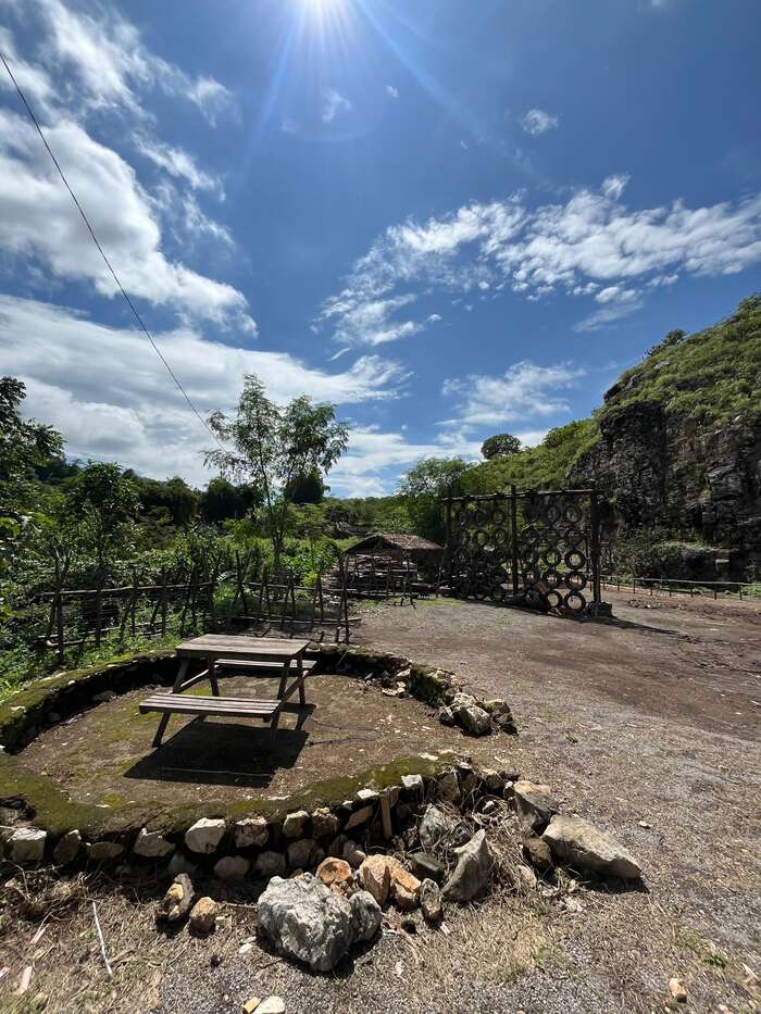 69848621-a8be-4ad1-9f61-cb13d54d45e5_alt