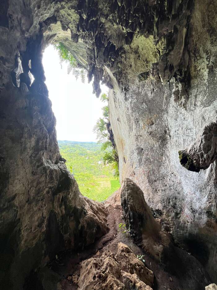 f4479e77-c16a-4e8f-b6f7-2bccac796b16_alt