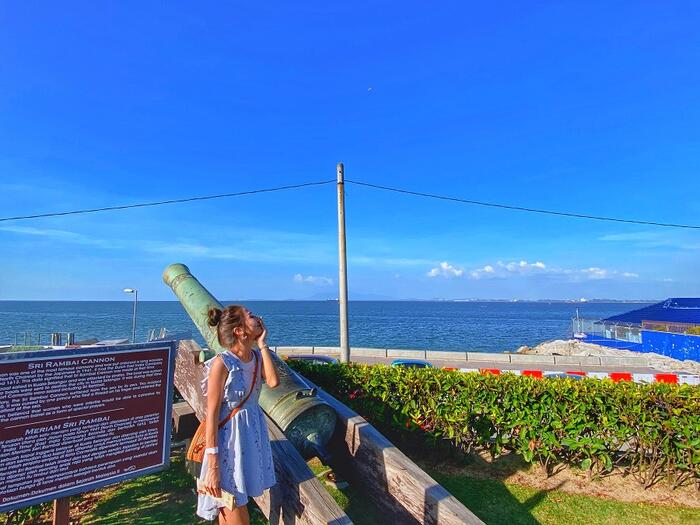 Georgetown Half-day Penang Island Tour (SIC – SHARED / JOIN IN TOUR) - Main Image