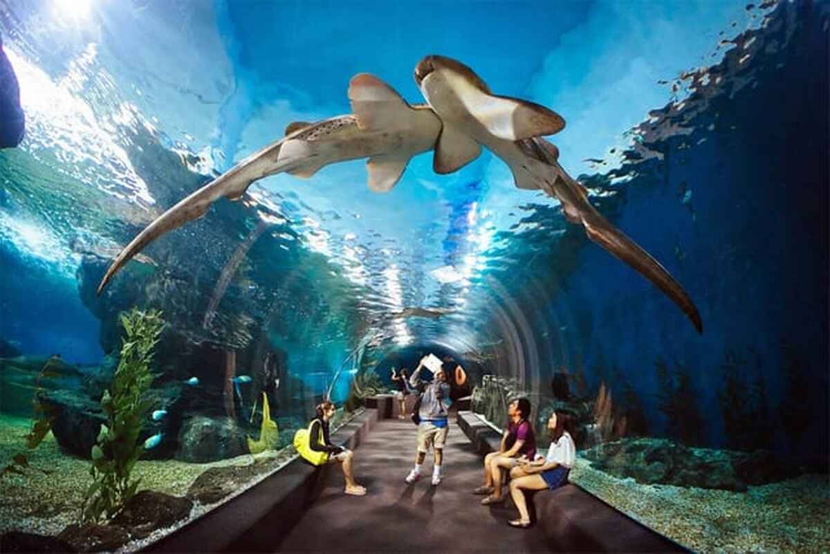 Underwater World Pattaya - Main Image