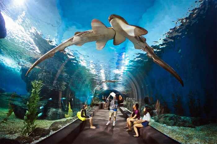 Underwater World Pattaya - Main Image
