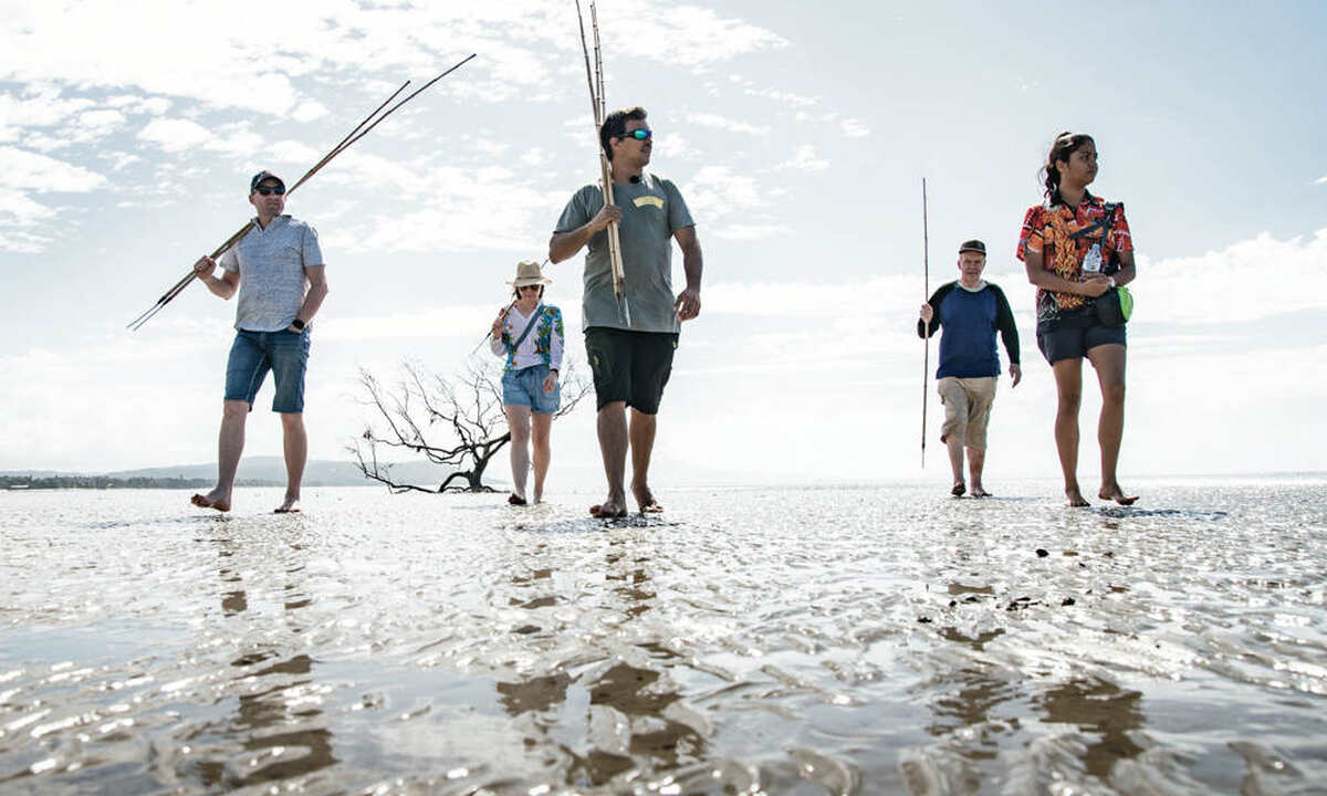 Half Day Morning Cultural Experience Of The Port Douglas Daintree Region - Main Image