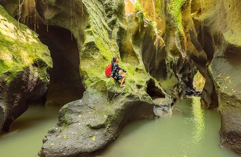 e41d061e-0089-4f0f-9f2f-b45463a70065_alt