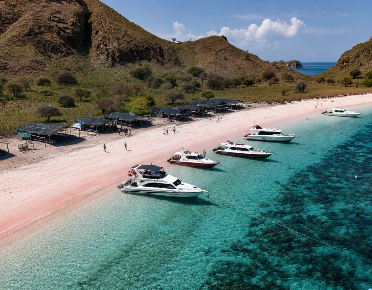 Komodo National Park Full Day Speedboat Tour - Main Image