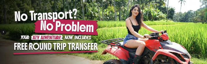 8980b358-220b-4268-808d-dded05ad09bb_alt