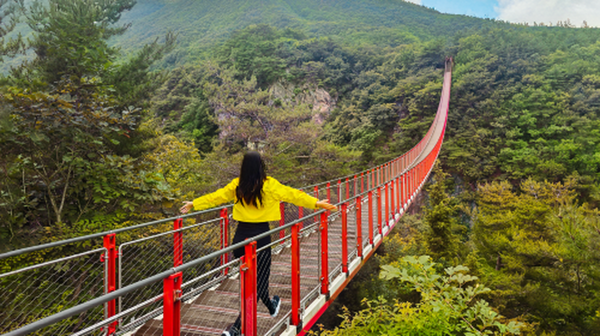 DMZ Tour with Optional Gondola and Suspension Bridge Day Tours - Main Image