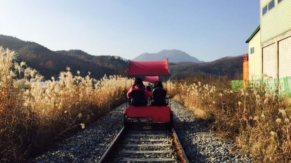 Nami Island + Gangchon Railbike One Day Tour (Depart from Seoul) Day Tours - Main Image