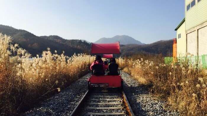 Nami Island + Gangchon Railbike One Day Tour (Depart from Seoul) Day Tours - Main Image