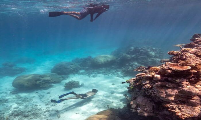 Snorkel & Dive Tour - Main Image