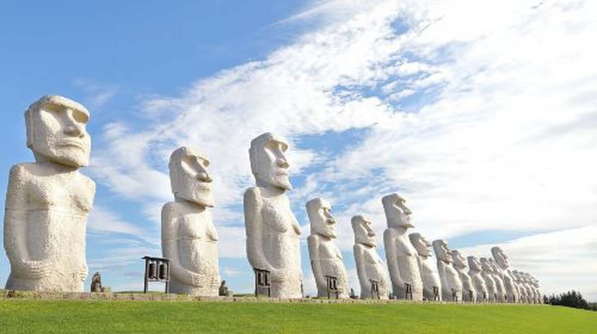 Sapporo 1-day tour - Main Image