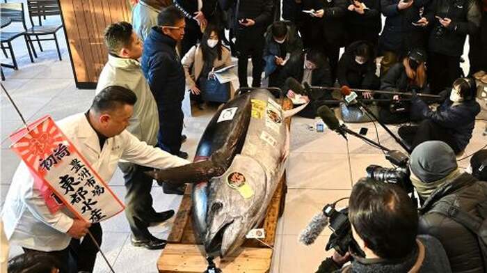 Tokyo: Toyosu Tuna Auction &Tsukiji Market Gourmet Adventure - Main Image