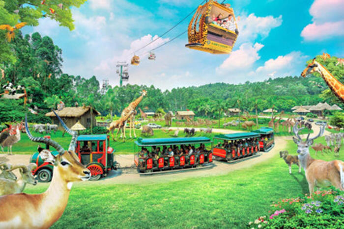 Guangzhou Chimelong Safari Park Entry Ticket - Main Image