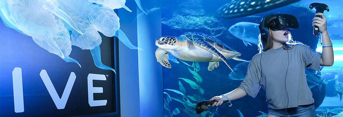 Dubai Aquarium And Underwater Zoo - Main Image