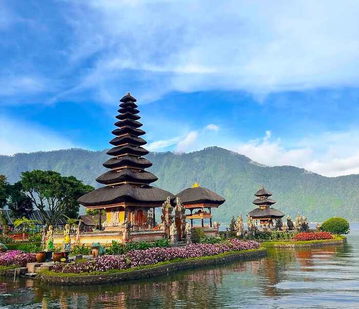 275d66c5-2462-4a91-a042-4836e7af273c_alt