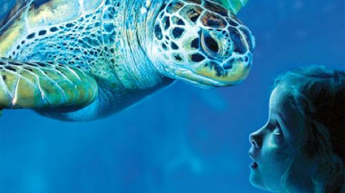 SEA LIFE Benalmádena: Entry Ticket Adult - Main Image