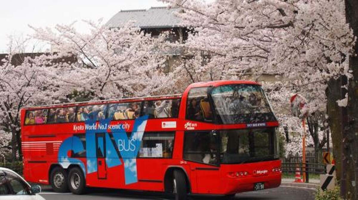 Kyoto Sky Hop Bus hop-on hop-off bus ticket (1-day / 2-day) Transport Passes - Main Image