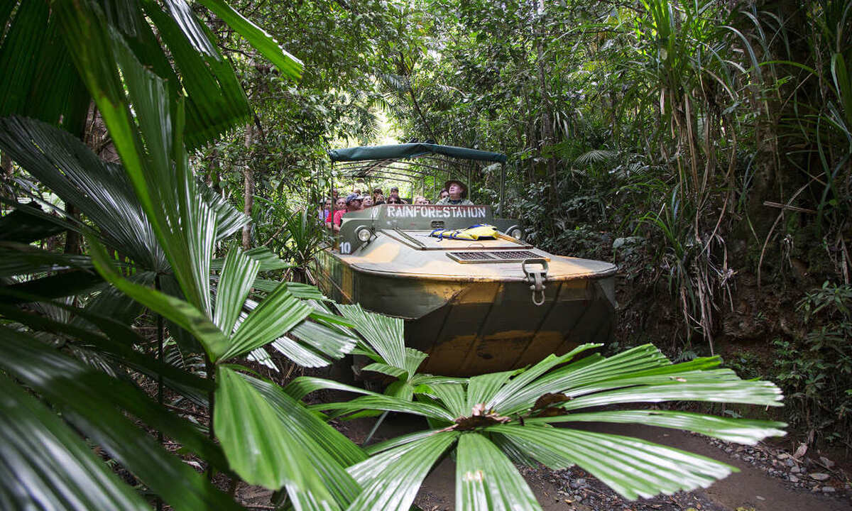 VQRS Rainforestation Nature Park - Main Image