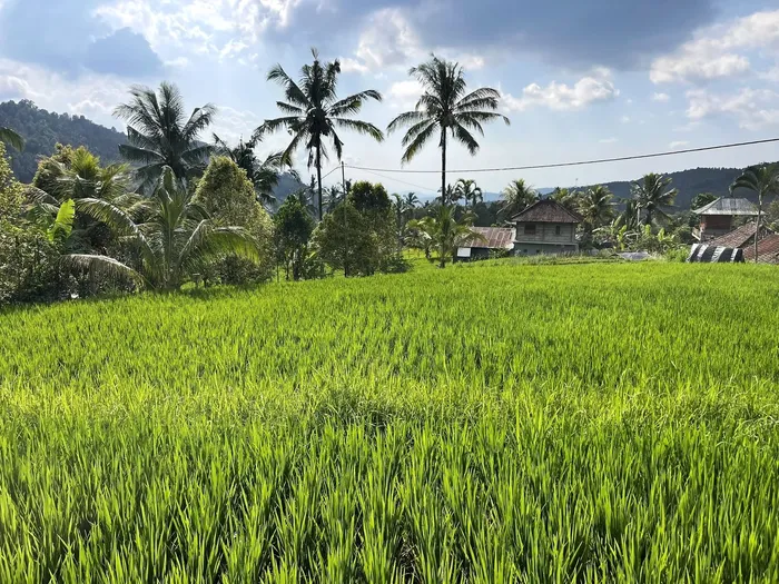 733b746d-690e-4f47-9cd6-63b538df58ad_alt