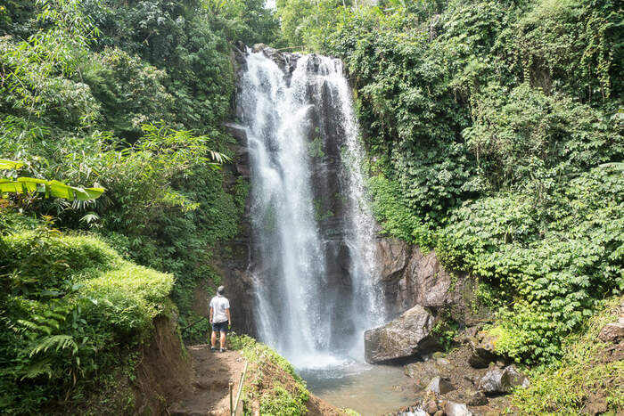 fad11696-83d1-4dd0-af70-e37de54511eb_alt